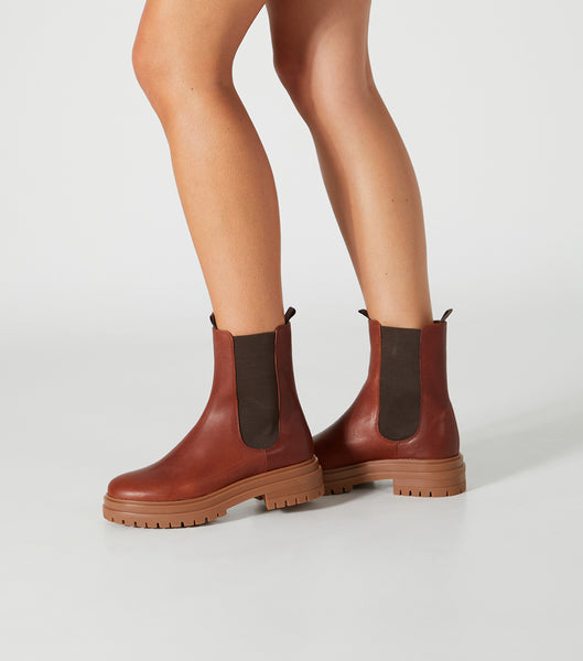 Botas de combate Tony Bianco Wolfe Cognac 4.5cm Marrones | GCLEC40447